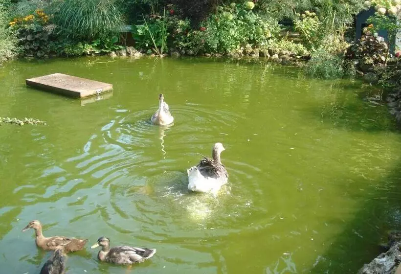 Aamiaismajoitus (B&B) La Haie à Cerf