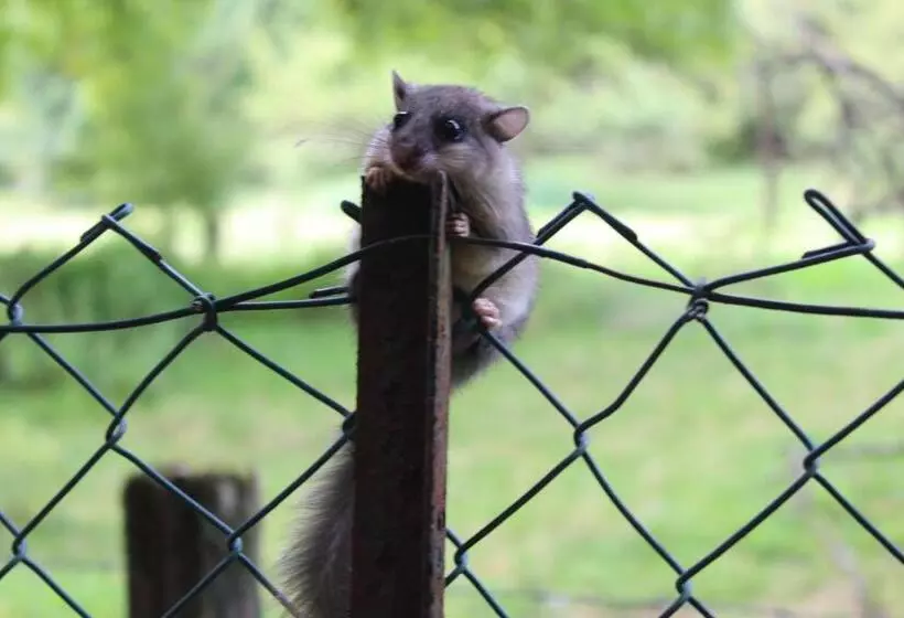 Aamiaismajoitus (B&B) La Haie à Cerf