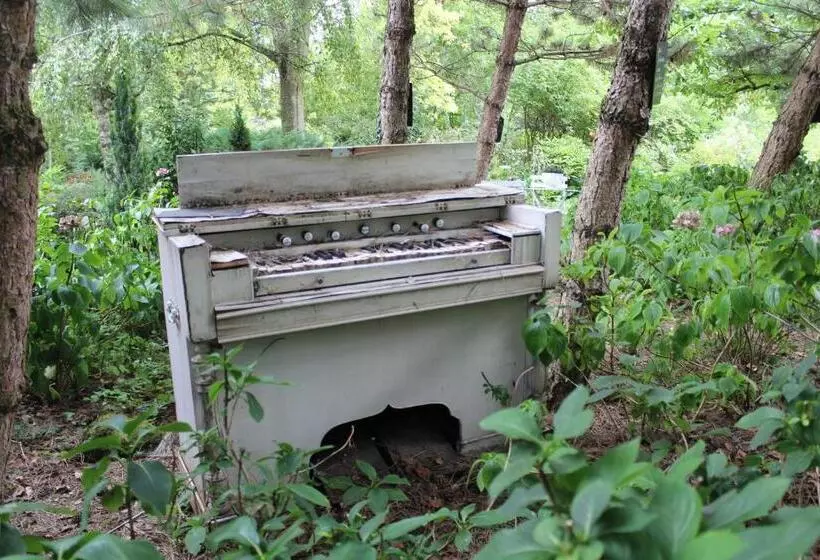 Aamiaismajoitus (B&B) La Haie à Cerf