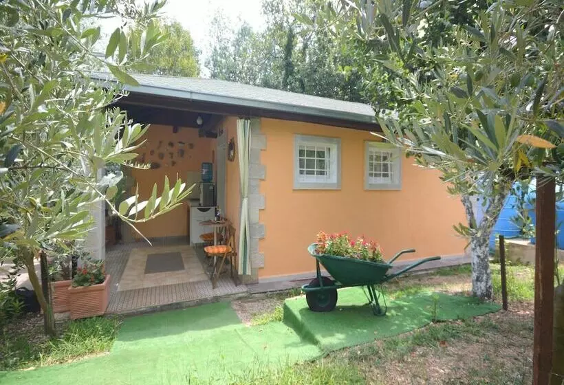 هتل Lazzaro Apartments