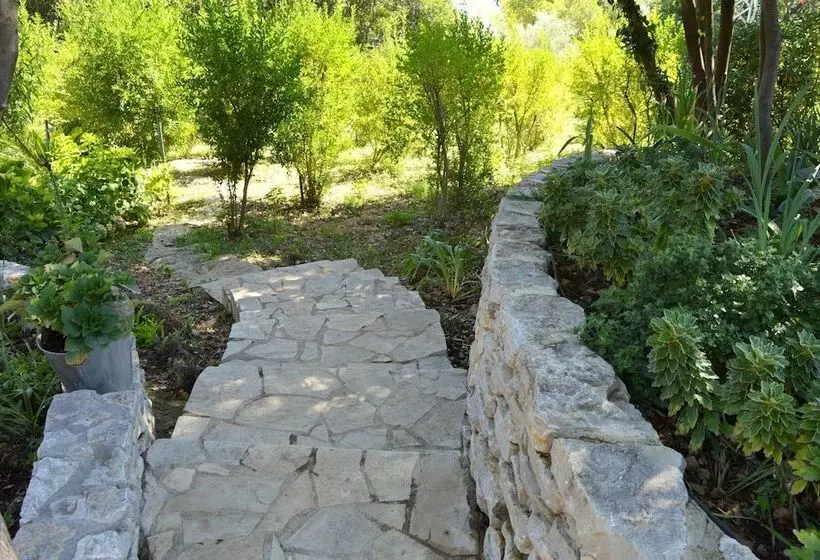 هتل Lazzaro Apartments