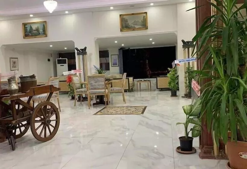 ホテル Tas Saray Bardakci