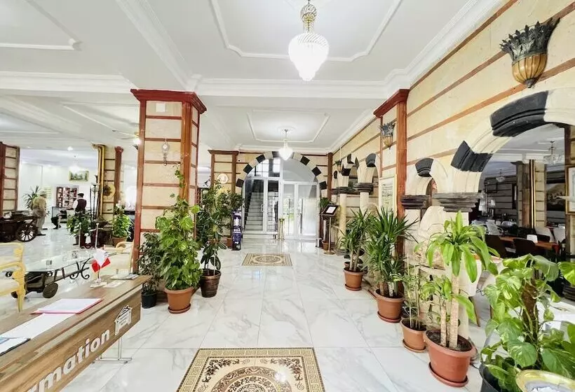 ホテル Tas Saray Bardakci