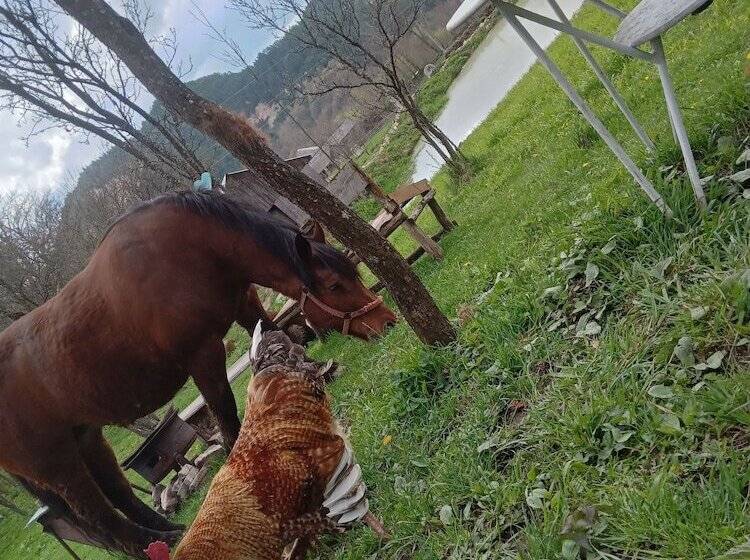 膳宿费 Room In B&b Camping Retreat Mountain Sanctuary