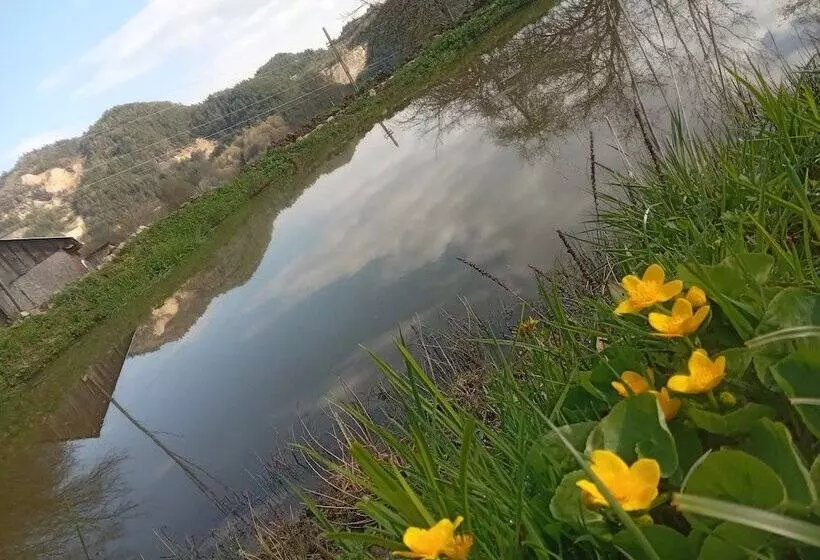 ペンション Room In B&b   Camping Retreat Mountain Sanctuary