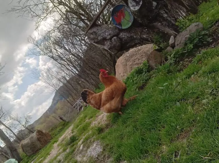 ペンション Room In B&b   Camping Retreat Mountain Sanctuary