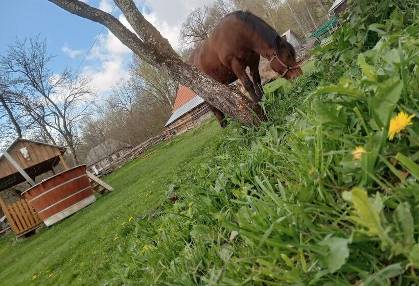 膳宿费 Room In B&b Camping Retreat Mountain Sanctuary