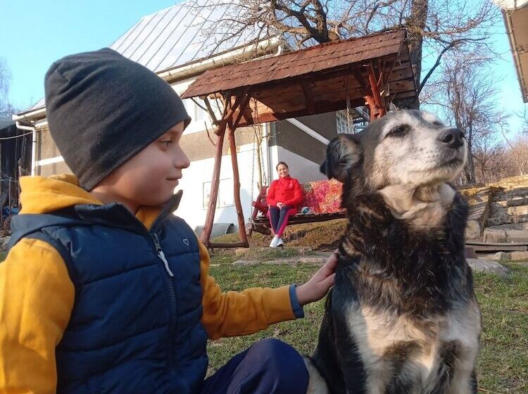 膳宿费 Room In B&b Camping Retreat Mountain Sanctuary