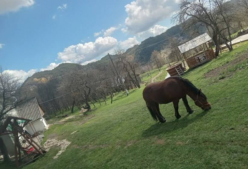 膳宿费 Room In B&b Camping Retreat Mountain Sanctuary