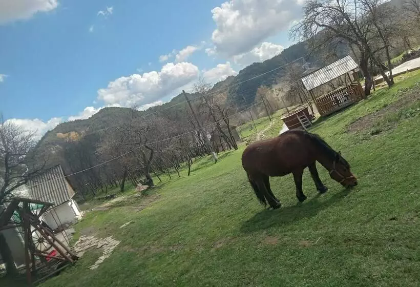 ペンション Room In B&b   Camping Retreat Mountain Sanctuary