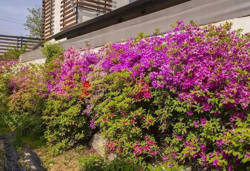 Hotelli Eumseong Black And White