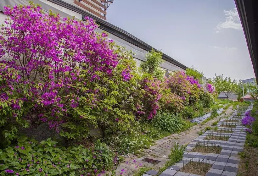 Hotelli Eumseong Black And White