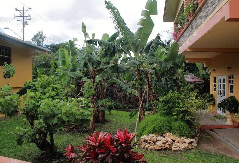 هتل Greenhaven Cottage B&b