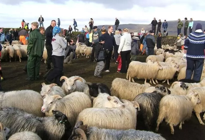 هتل Guesthouse Steinsholt