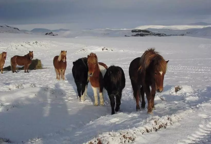 هتل Guesthouse Steinsholt