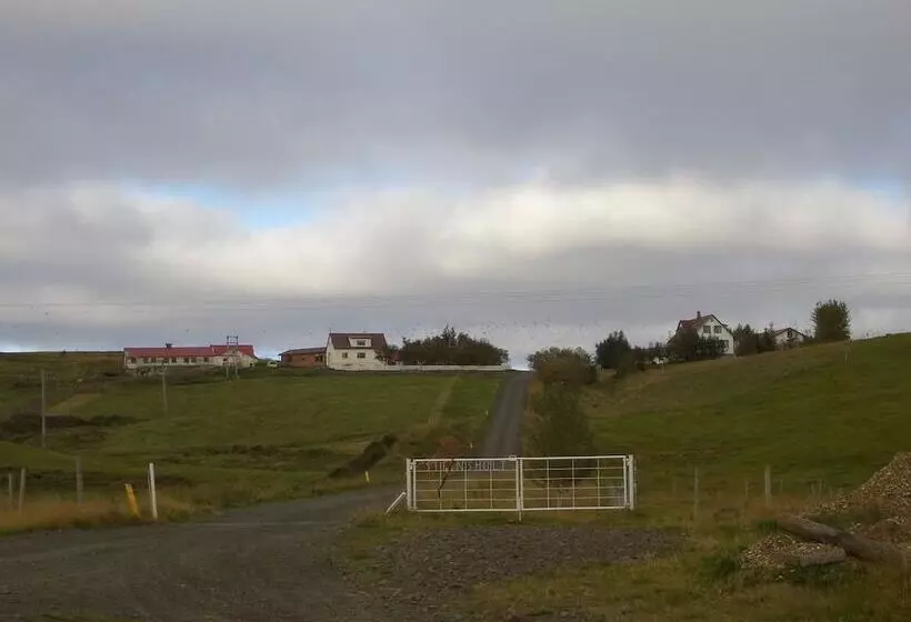 هتل Guesthouse Steinsholt