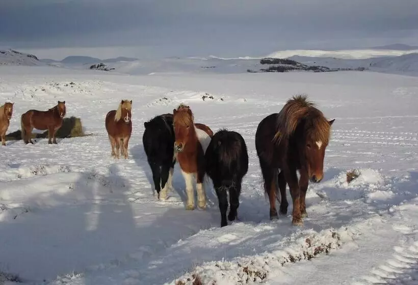 هتل Guesthouse Steinsholt