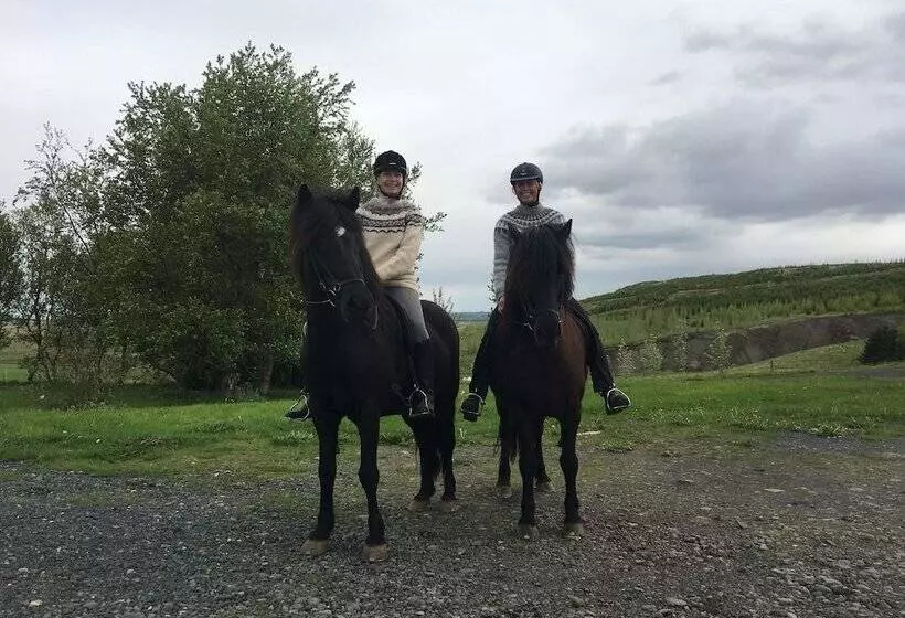 هتل Guesthouse Steinsholt