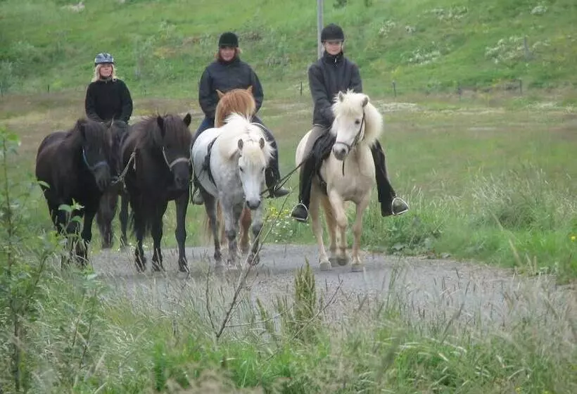 هتل Guesthouse Steinsholt