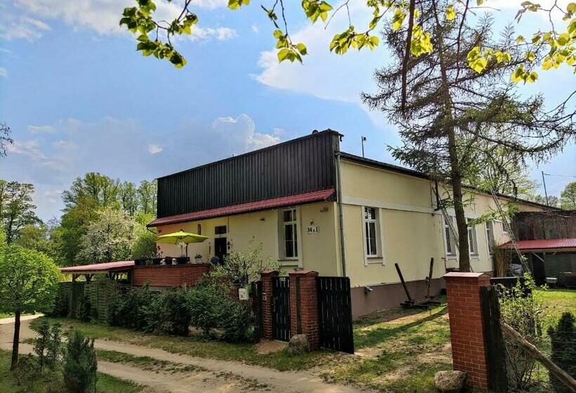 Bed & Breakfast   Warniłęg