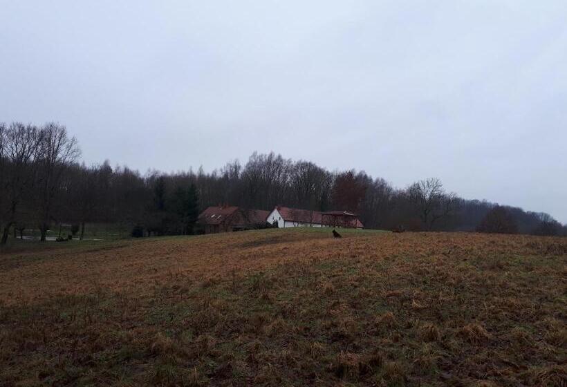 فندق łabądkowo