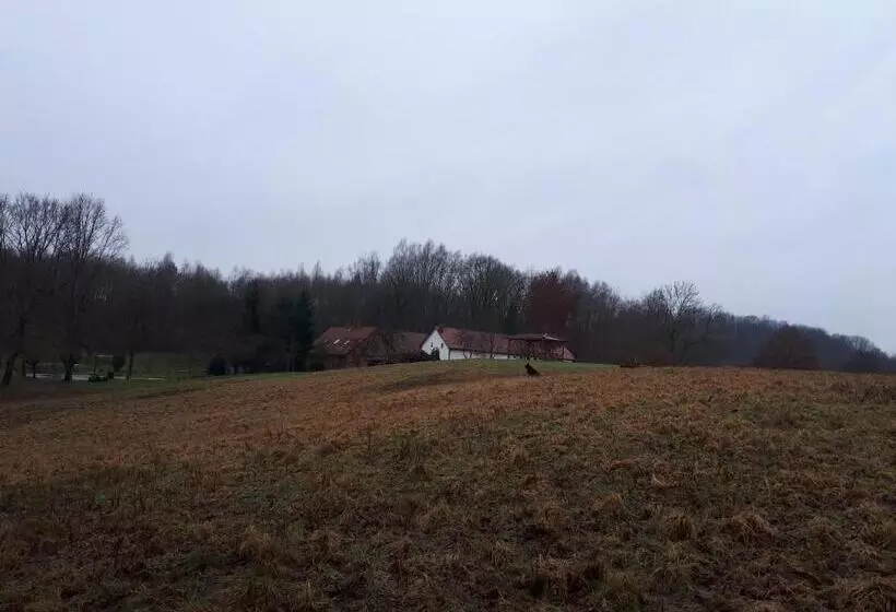 Hotelli łabądkowo
