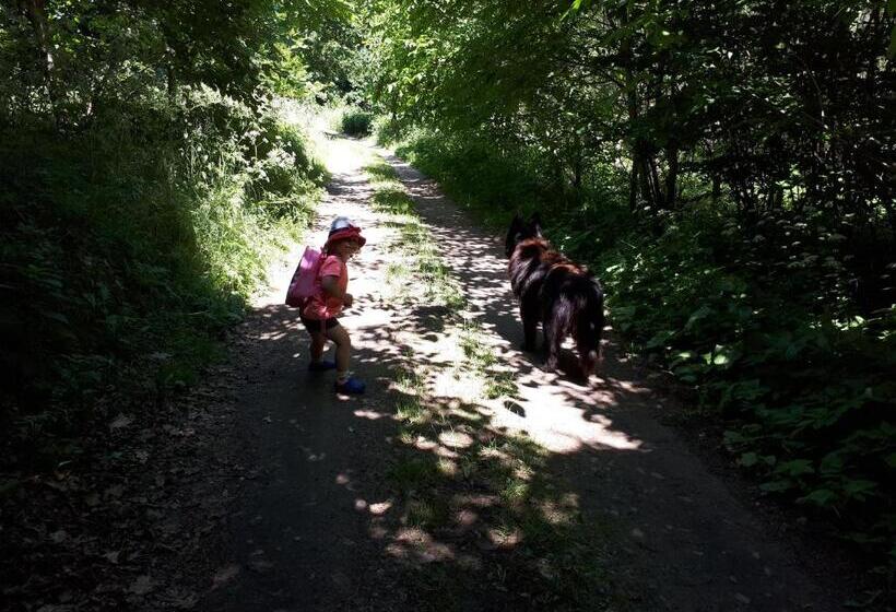 فندق łabądkowo