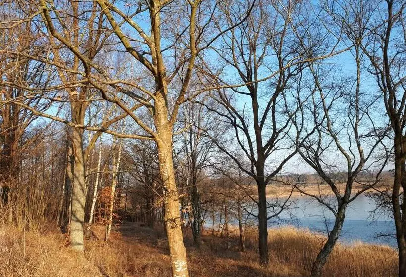 Hotelli łabądkowo