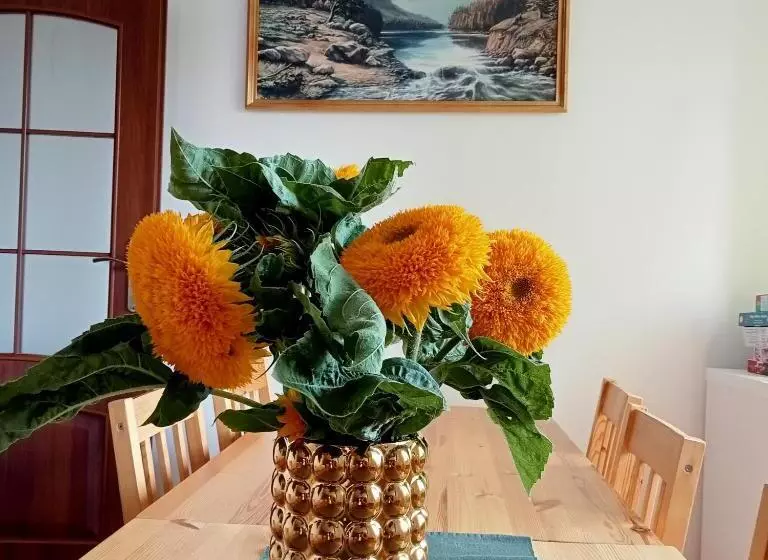 ホテル Agroturystyka U Rysia
