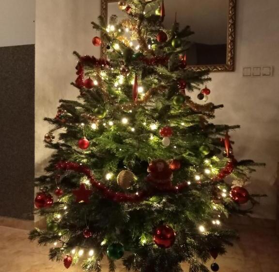 酒店 Agroturystyka U Rysia