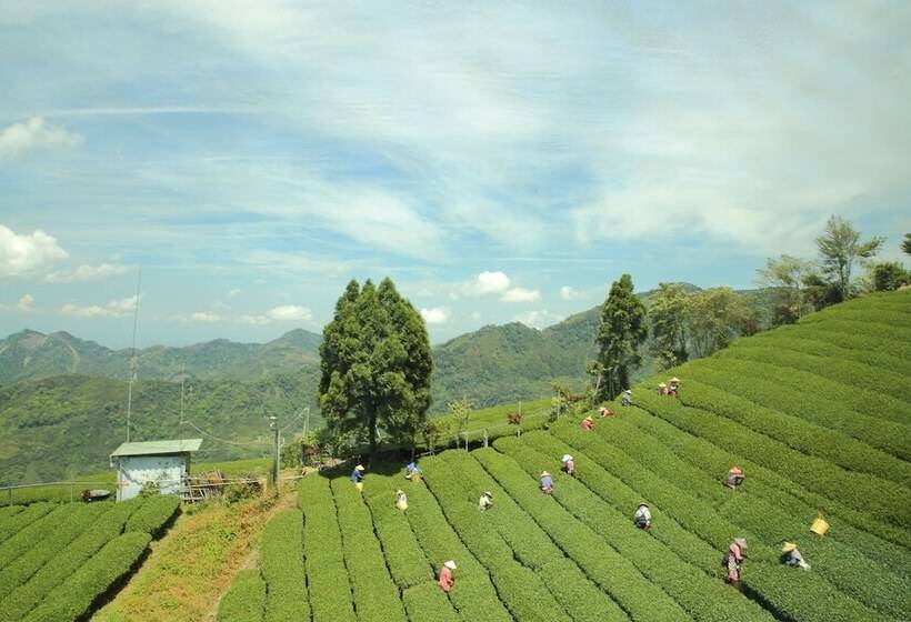 هتل Alishan B&b Yunmingi