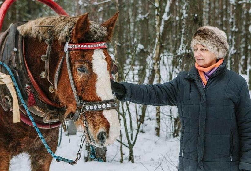 Отель Maciejówka Borki 33