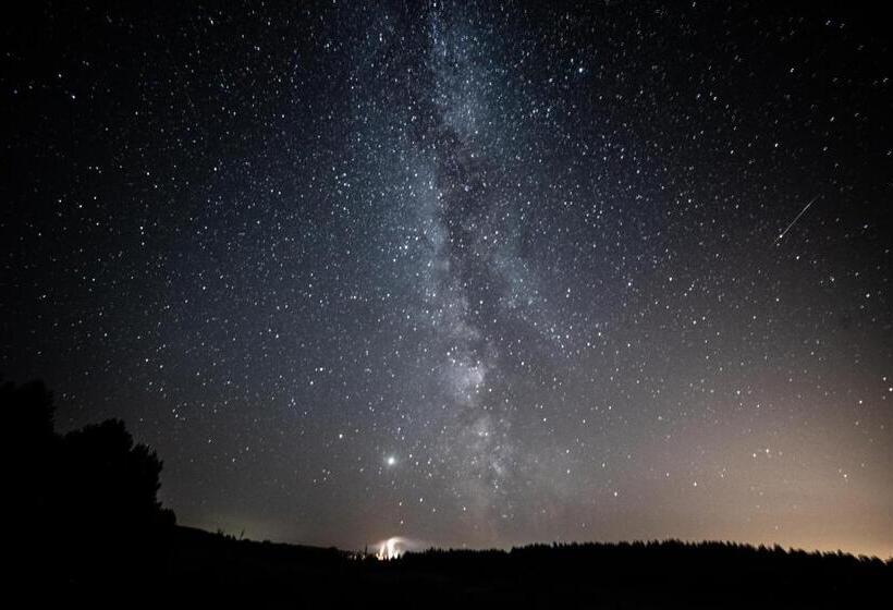 Отель Maciejówka Borki 33