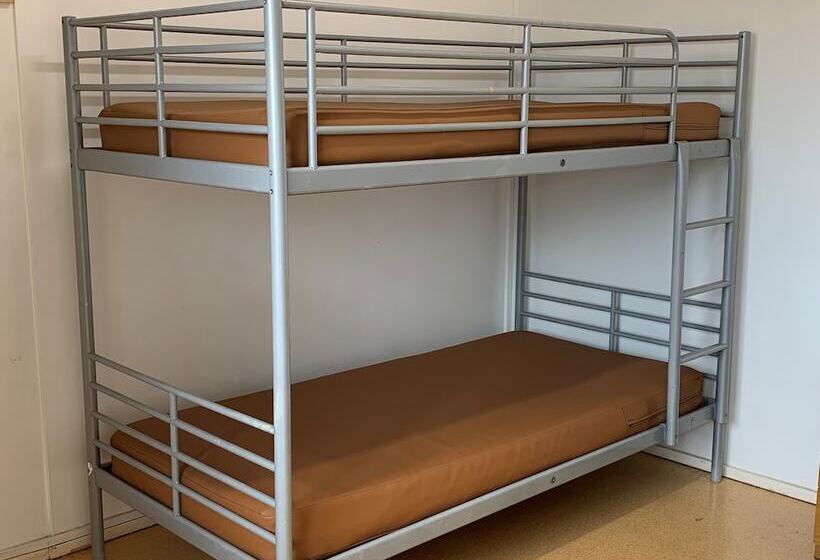 בית מלון כפרי Roey Backpackers & Party Bar