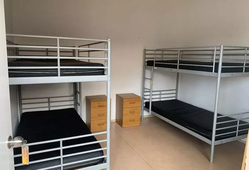 ホテル Roey Backpackers & Party Bar