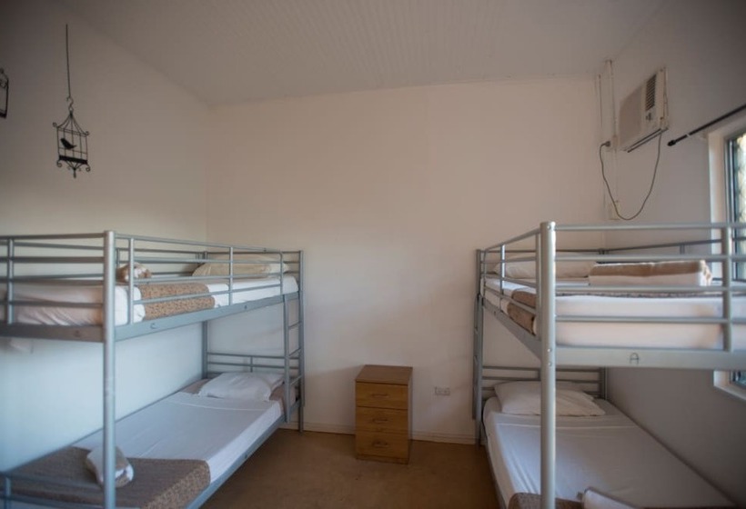 בית מלון כפרי Roey Backpackers & Party Bar