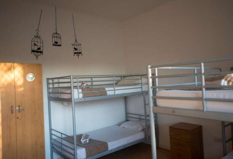 בית מלון כפרי Roey Backpackers & Party Bar