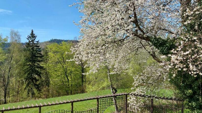 فندق U Helci Na Krańcu świata Azyl Tylko Dla Dorosłych