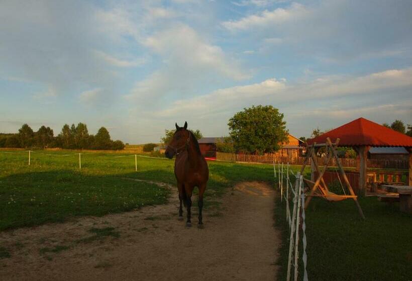 酒店 Wakacje U Babci Krysi