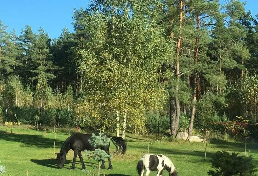 ペンション Dolcevita Podlasie