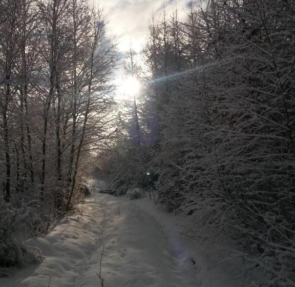酒店 Agroturystyczny Dom Na Skraju Lasu