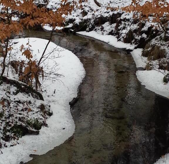 酒店 Agroturystyczny Dom Na Skraju Lasu
