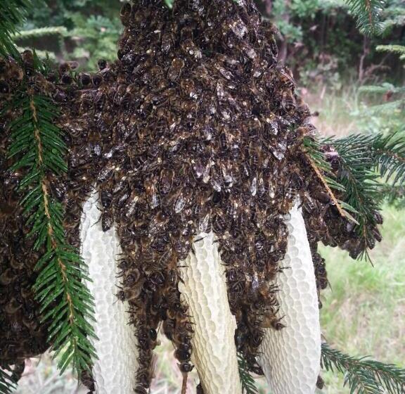 酒店 Agroturystyczny Dom Na Skraju Lasu