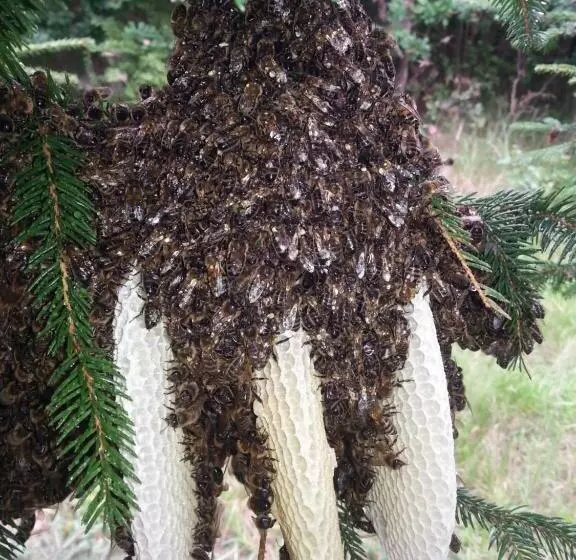 ホテル Agroturystyczny Dom Na Skraju Lasu
