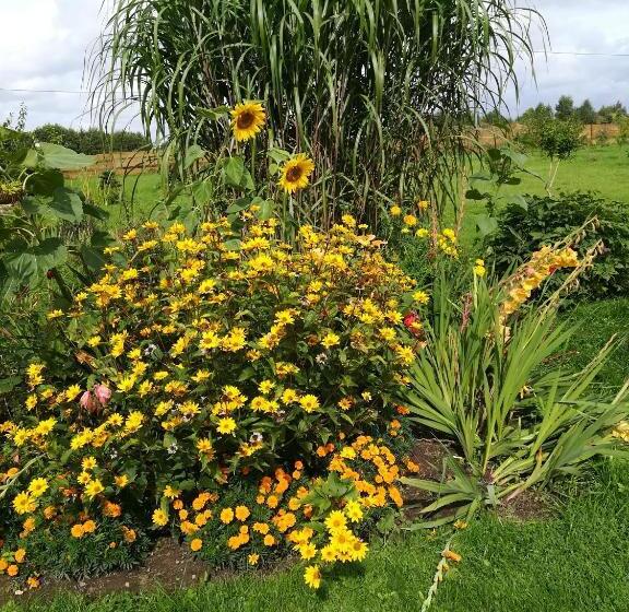 酒店 Agroturystyczny Dom Na Skraju Lasu