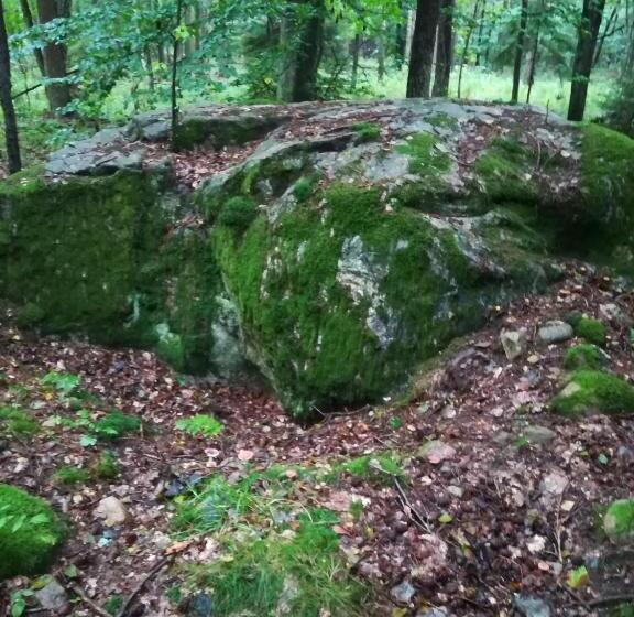 酒店 Agroturystyczny Dom Na Skraju Lasu
