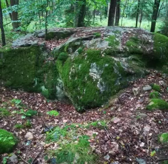 ホテル Agroturystyczny Dom Na Skraju Lasu