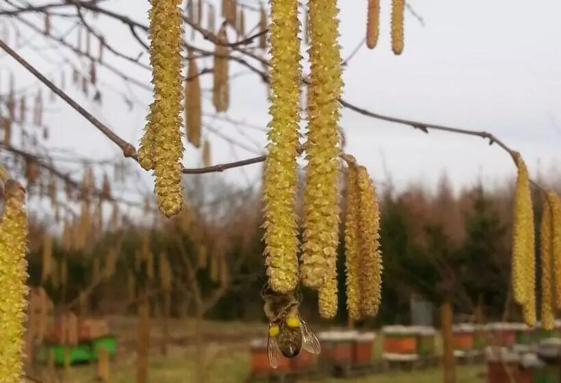 ホテル Agroturystyczny Dom Na Skraju Lasu