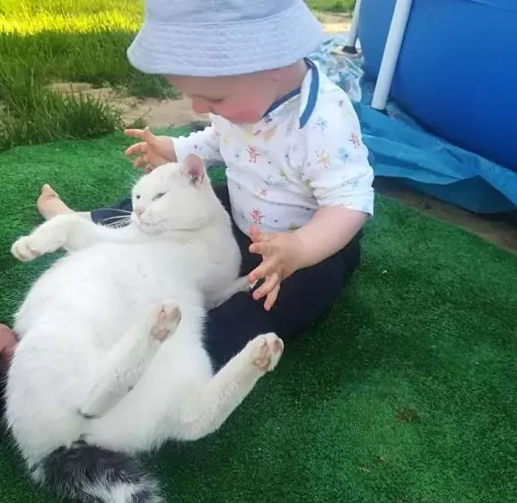 ホテル Agroturystyczny Dom Na Skraju Lasu