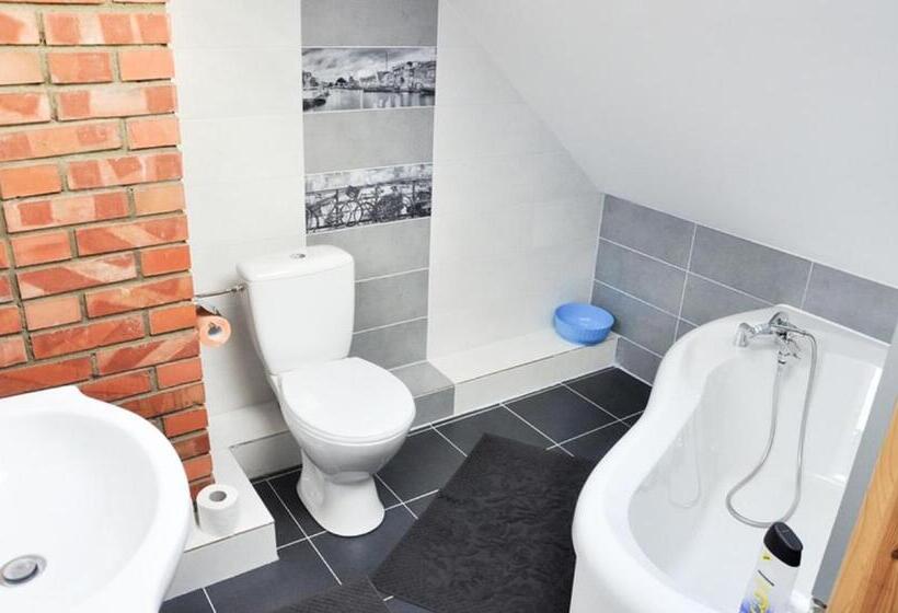 酒店 Agroturystyka Rogoznia